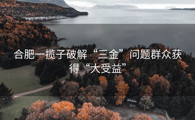 合肥一揽子破解“三金”问题群众获得“大受益” 合肥一揽子破解“三金”问题群众获得“大受益”