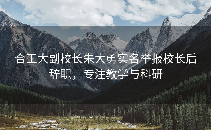 合工大副校长朱大勇实名举报校长后辞职,专注教学与科研 合工大副校长朱大勇实名举报校长后辞职,专注教学与科研