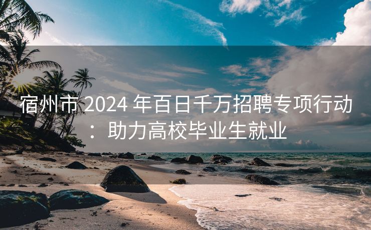宿州市 2024 年百日千万招聘专项行动:助力高校毕业生就业 宿州市 2024 年百日千万招聘专项行动:助力高校毕业生就业