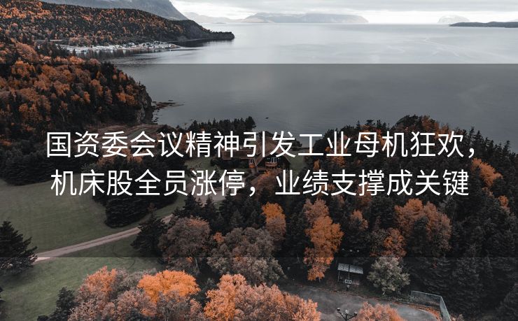 国资委会议精神引发工业母机狂欢,机床股全员涨停,业绩支撑成关键 国资委会议精神引发工业母机狂欢,机床股全员涨停,业绩支撑成关键
