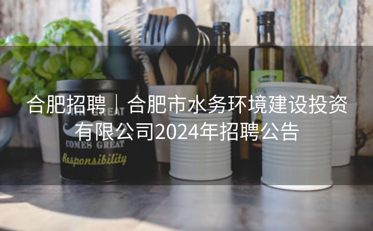 合肥招聘|合肥市水务环境建设投资有限公司2024年招聘公告 合肥招聘|合肥市水务环境建设投资有限公司2024年招聘公告
