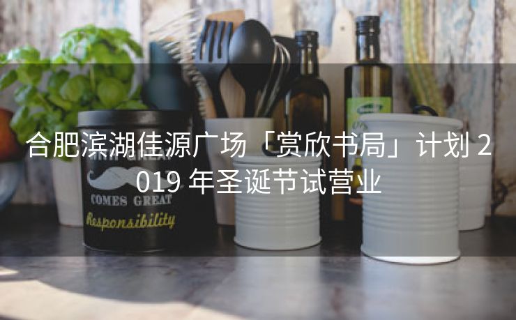 合肥滨湖佳源广场「赏欣书局」计划 2019 年圣诞节试营业 合肥滨湖佳源广场「赏欣书局」计划 2019 年圣诞节试营业