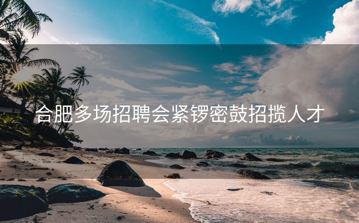 合肥多场招聘会紧锣密鼓招揽人才 合肥多场招聘会紧锣密鼓招揽人才