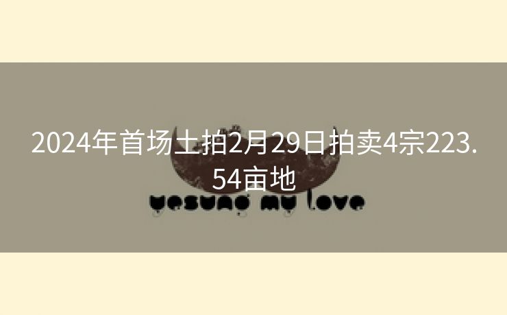 2024年首场土拍2月29日拍卖4宗223.54亩地 2024年首场土拍2月29日拍卖4宗223.54亩地
