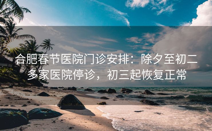 合肥春节医院门诊安排:除夕至初二多家医院停诊,初三起恢复正常 合肥春节医院门诊安排:除夕至初二多家医院停诊,初三起恢复正常