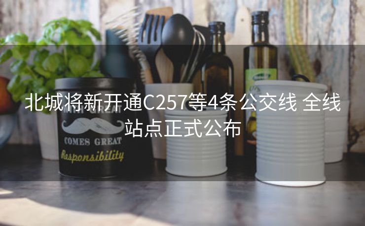 北城将新开通C257等4条公交线 全线站点正式公布 北城将新开通C257等4条公交线 全线站点正式公布