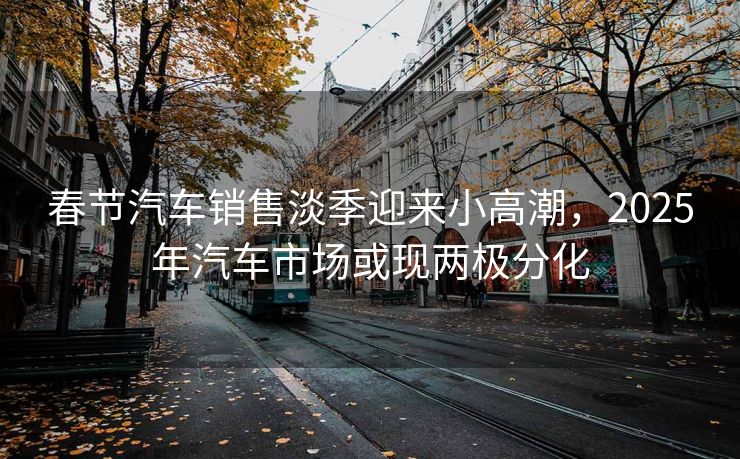 春节汽车销售淡季迎来小高潮,2025年汽车市场或现两极分化 春节汽车销售淡季迎来小高潮,2025年汽车市场或现两极分化