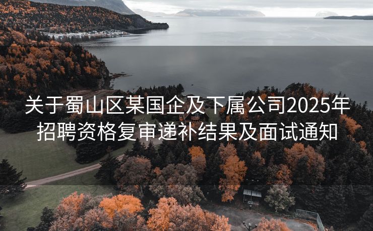 关于蜀山区某国企及下属公司2025年招聘资格复审递补结果及面试通知 关于蜀山区某国企及下属公司2025年招聘资格复审递补结果及面试通知