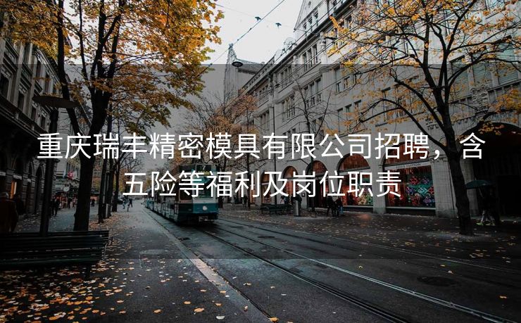 重庆瑞丰精密模具有限公司招聘,含五险等福利及岗位职责 重庆瑞丰精密模具有限公司招聘,含五险等福利及岗位职责