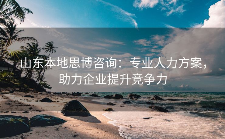 山东本地思博咨询:专业人力方案,助力企业提升竞争力 山东本地思博咨询:专业人力方案,助力企业提升竞争力