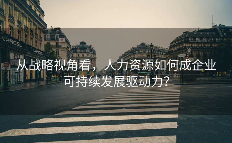 从战略视角看,人力资源如何成企业可持续发展驱动力? 从战略视角看,人力资源如何成企业可持续发展驱动力?