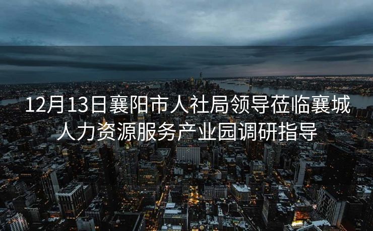 12月13日襄阳市人社局领导莅临襄城人力资源服务产业园调研指导 12月13日襄阳市人社局领导莅临襄城人力资源服务产业园调研指导